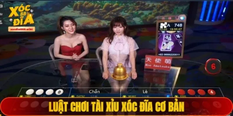 Mẹo chơi Tài Xỉu Xóc Đĩa xocdia88 thắng lớn – Bí quyết từ cao thủ Mẹo chơi Tài Xỉu Xóc Đĩa xocdia88 thắng lớn – Bí quyết từ cao thủ