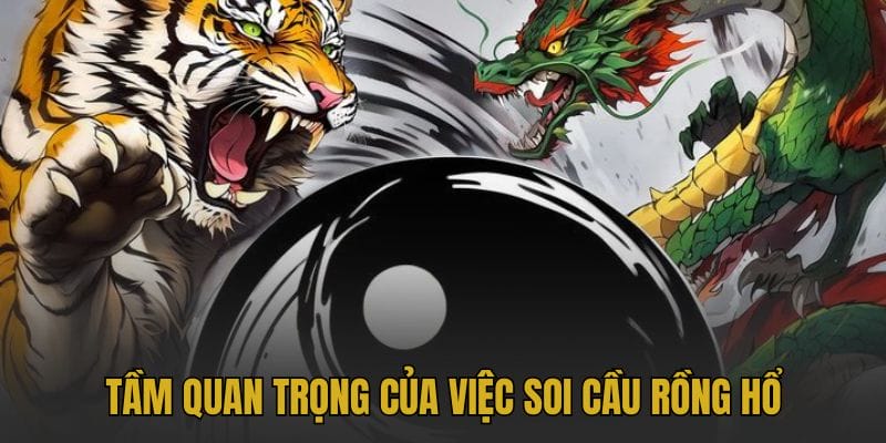 Tầm quan trọng của việc soi cầu rồng hổ