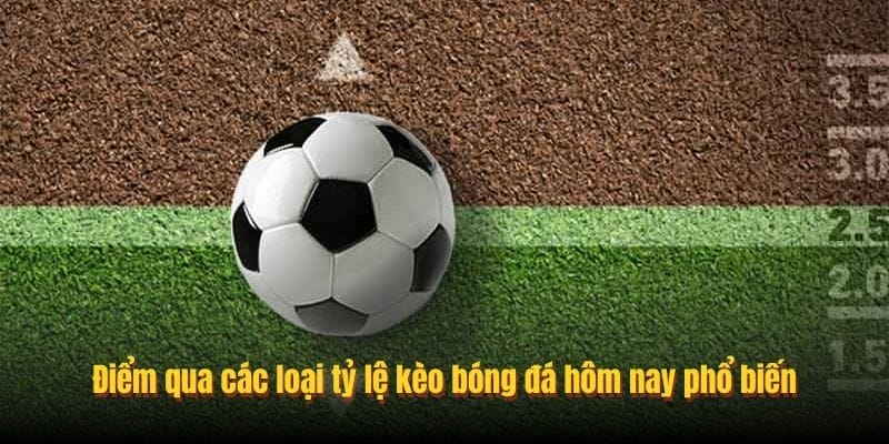 Điểm qua các loại tỷ lệ kèo bóng đá hôm nay phổ biến