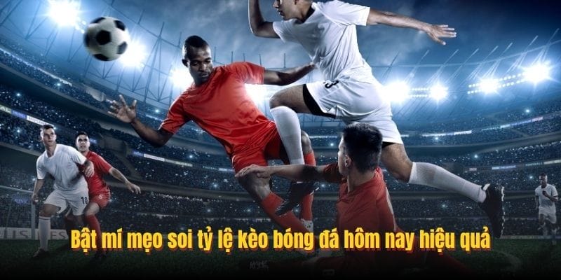 Bật mí mẹo soi tỷ lệ kèo bóng đá hôm nay hiệu quả