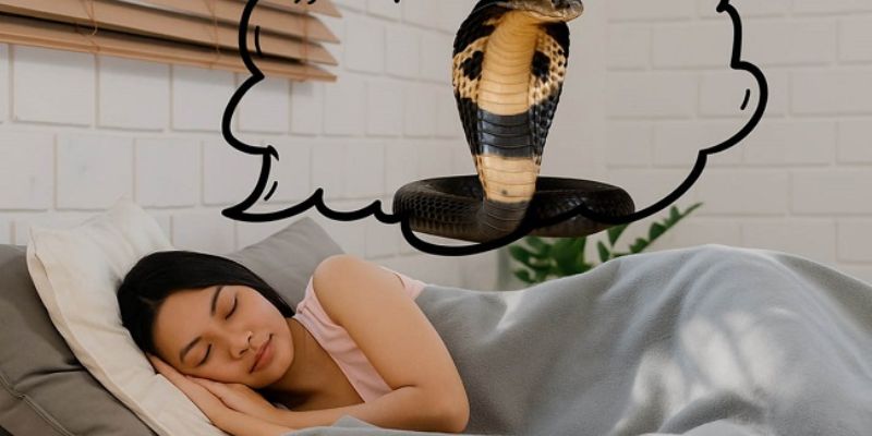 Khám phá con số may mắn dựa theo giấc mơ của bạn.