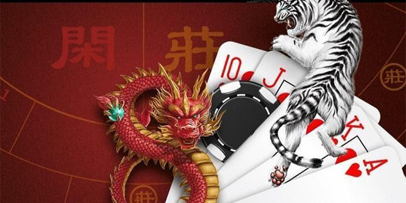 Cách Chơi Dragon Tiger: Hướng Dẫn Chi Tiết Cho Người Mới