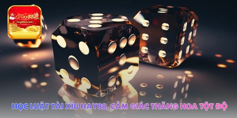 Học luật tài xỉu Hay88, cảm giác thăng hoa tột độ