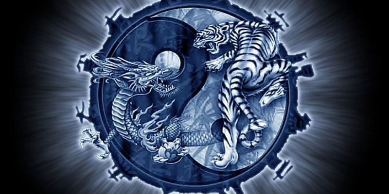 Những chiến thuật đầu tư Rồng Hổ hiệu quả nhất 2025
