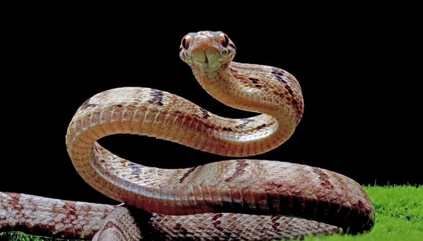 Tương lai tình yêu đôi lứa có sự chuyển biến rõ rệt