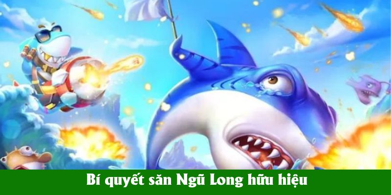 Bí quyết săn Ngũ Long hữu hiệu