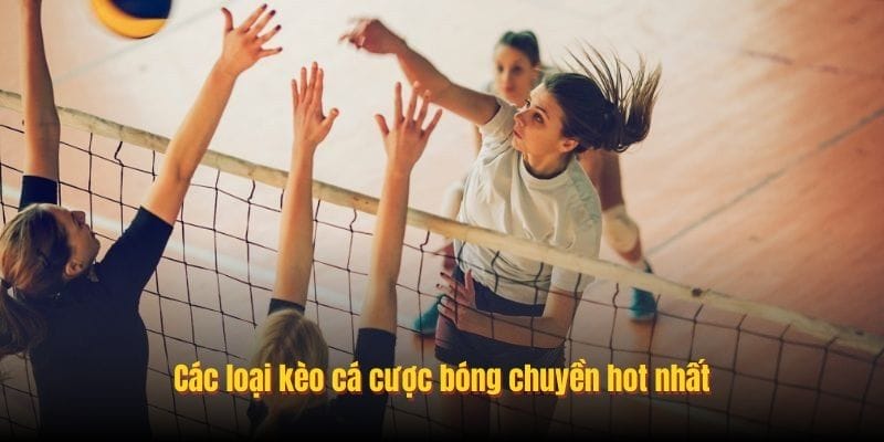 Các loại kèo cá cược bóng chuyền hot nhất