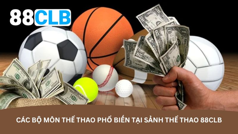 Các bộ môn thể thao phổ biến tại sảnh thể thao 88CLB