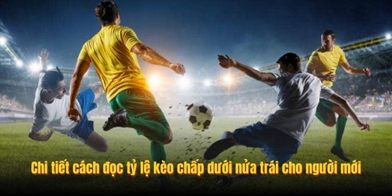 Chi tiết cách đọc tỷ lệ kèo chấp dưới nửa trái cho người mới