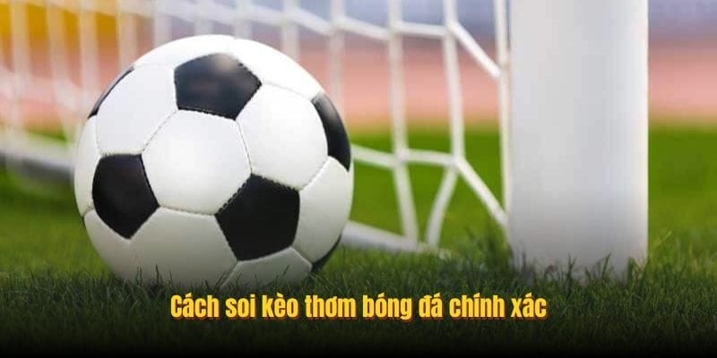 Cách soi kèo thơm bóng đá chính xác