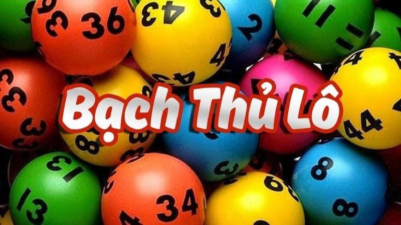 Bạch thủ lô là gì và đặc điểm cơ bản