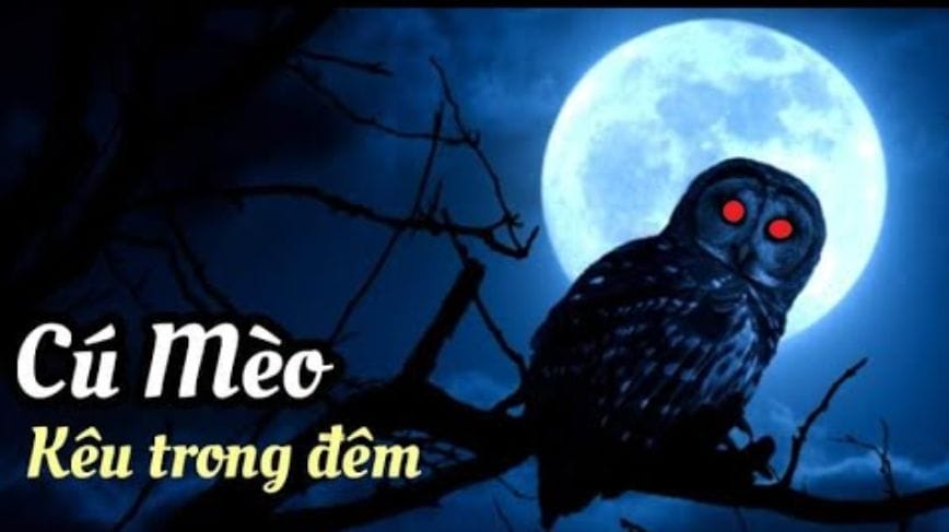Dưới góc nhìn khoa học tiếng cú mèo kêu trong điềm báo gì?