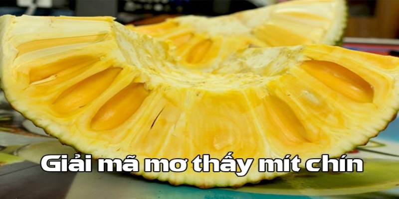 Trả lời: Mơ thấy ăn mít đánh số gì mang về may mắn Trả lời: Mơ thấy ăn mít đánh số gì mang về may mắn