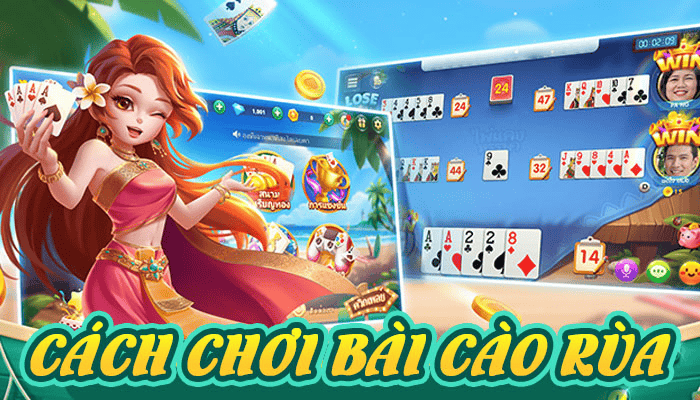 Tổng Quan Về Bài Cào Rùa