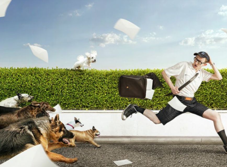 Tùy vào trường hợp cụ thể bị chó đuổi mà bị chó đuổi khi đi đường khác nhau