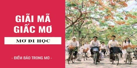 Mơ thấy đi học lớp 1, lớp 12, đại học.. đánh con số nào?