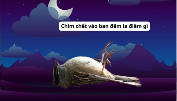 Ý nghĩa hiện tượng chim chết vào ban đêm la điềm gì?