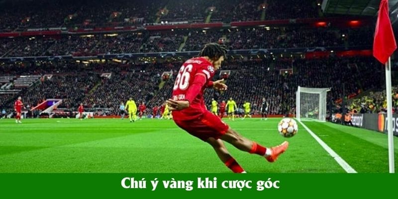 Chú ý vàng khi cược góc