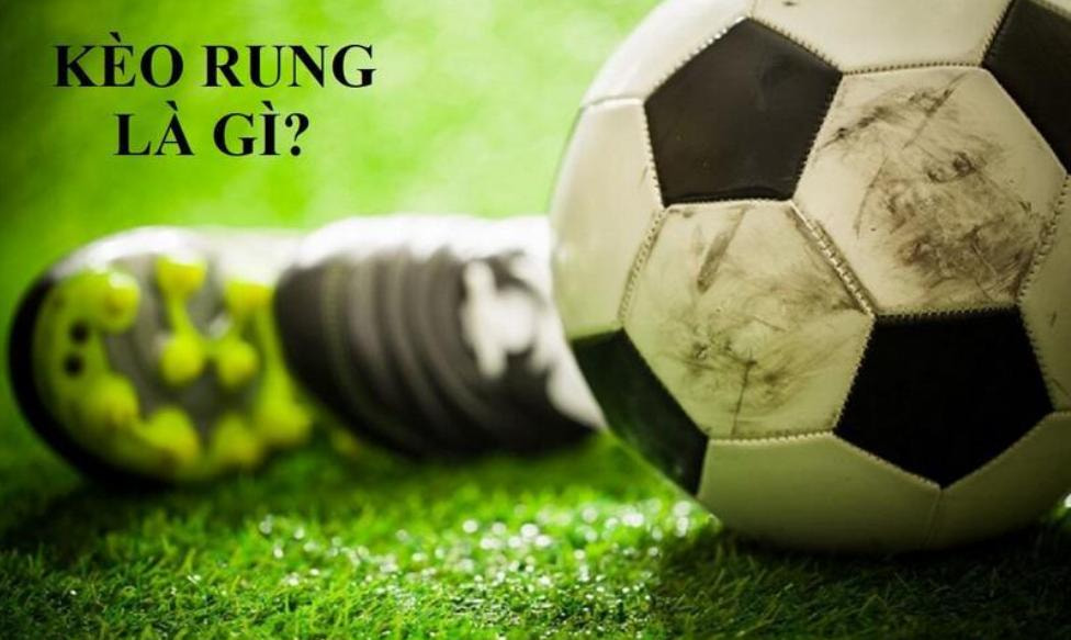 Giải mã kèo rung kèo nhà cái là gì? Cách tính tiền cược chuẩn xác
