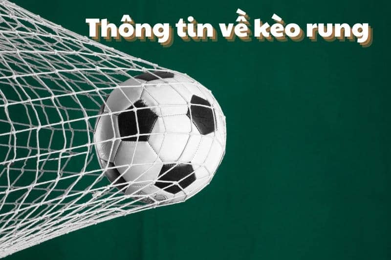 Thời điểm thích hợp bắt kèo rung cho tân thủ