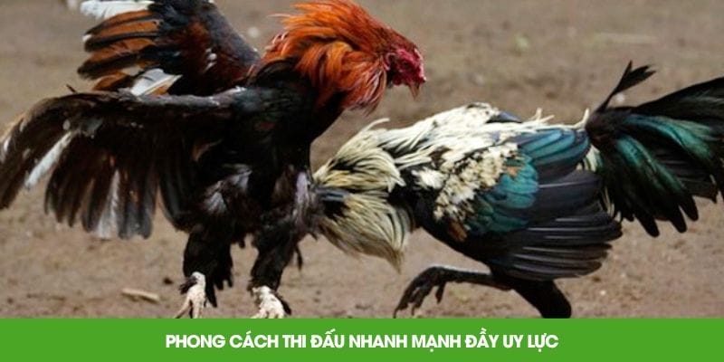 Phong cách thi đấu nhanh mạnh đầy uy lực
