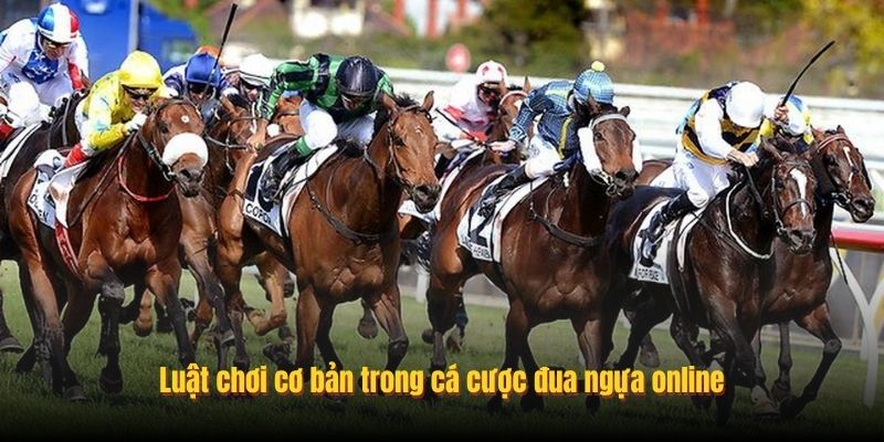 Luật chơi cơ bản trong cá cược đua ngựa online