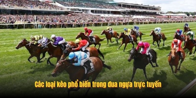 Các loại kèo phổ biến trong đua ngựa trực tuyến