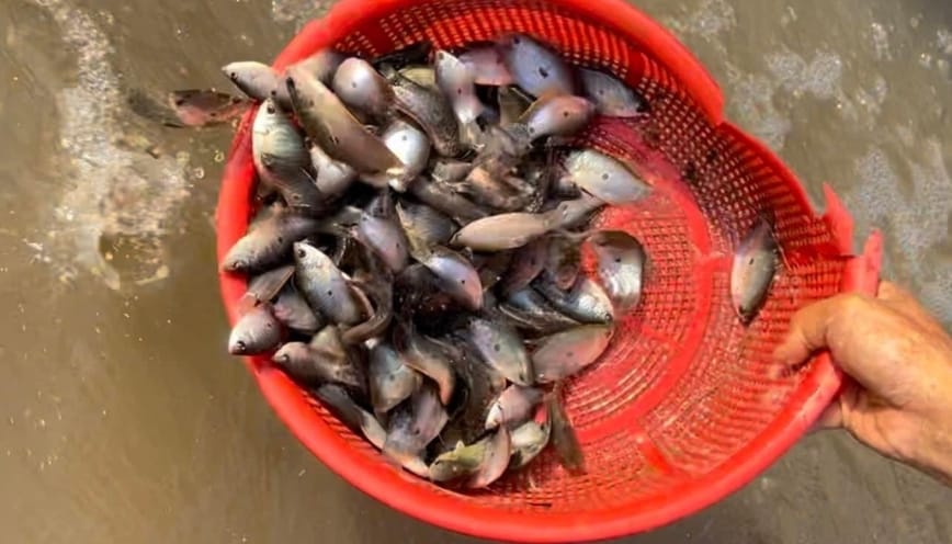 Người dân đang đi cúng Tam Bảo và đọc văn khấn