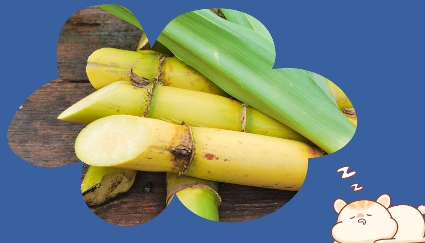 Những việc cần làm sau khi mơ thấy ăn mía